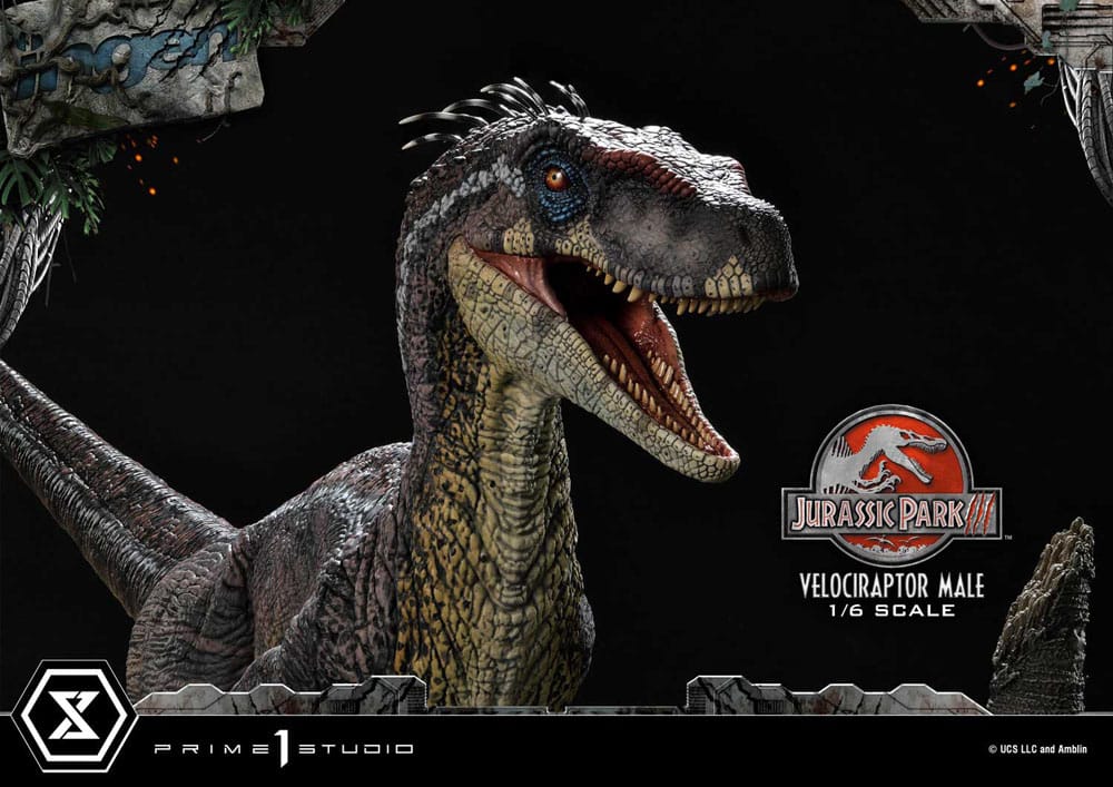 Jurassic Park III Legacy Museum Collection Statue 1/6 Velociraptor Male 40cm - Scale Statue - Prime 1 Studio - Hobby Figures UK