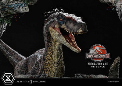 Jurassic Park III Legacy Museum Collection Statue 1/6 Velociraptor Male 40cm - Scale Statue - Prime 1 Studio - Hobby Figures UK