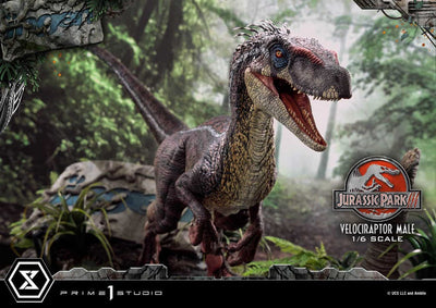 Jurassic Park III Legacy Museum Collection Statue 1/6 Velociraptor Male 40cm - Scale Statue - Prime 1 Studio - Hobby Figures UK