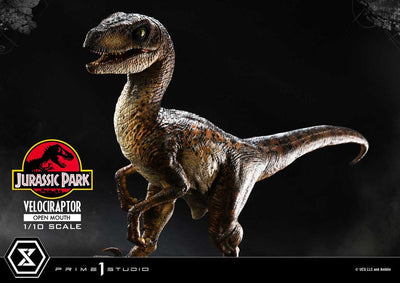 Jurassic Park Prime Collectibles Statue 1/10 Velociraptor Open Mouth 19cm - Scale Statue - Prime 1 Studio - Hobby Figures UK