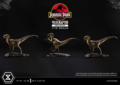 Jurassic Park Prime Collectibles Statue 1/10 Velociraptor Open Mouth 19cm - Scale Statue - Prime 1 Studio - Hobby Figures UK