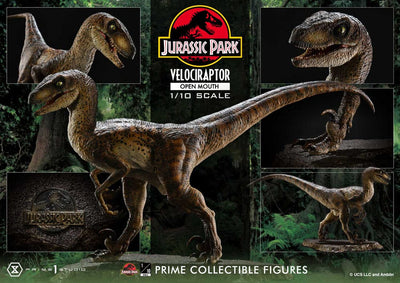 Jurassic Park Prime Collectibles Statue 1/10 Velociraptor Open Mouth 19cm - Scale Statue - Prime 1 Studio - Hobby Figures UK