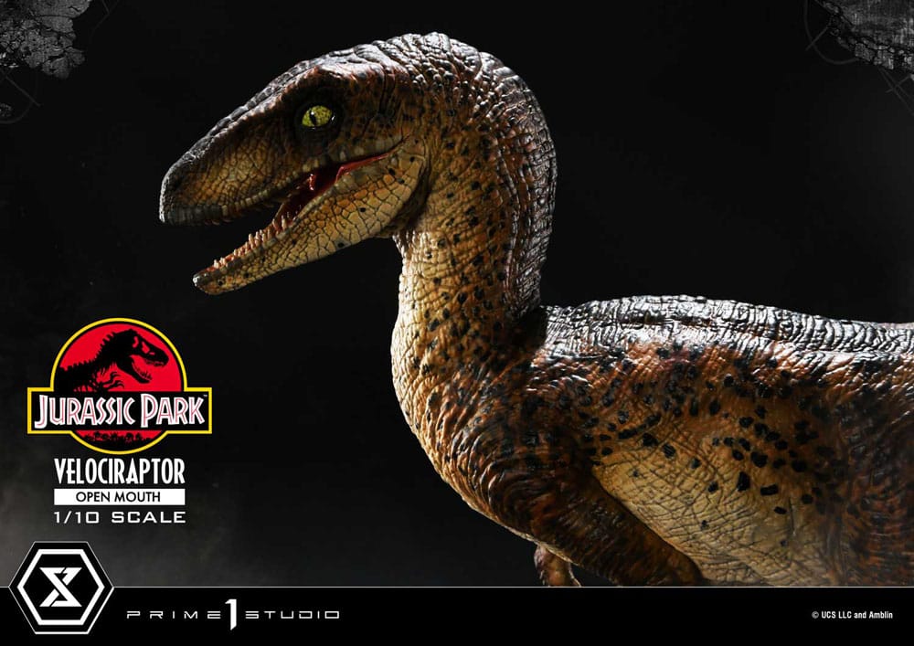 Jurassic Park Prime Collectibles Statue 1/10 Velociraptor Open Mouth 19cm - Scale Statue - Prime 1 Studio - Hobby Figures UK