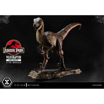 Jurassic Park Prime Collectibles Statue 1/10 Velociraptor Open Mouth 19cm - Scale Statue - Prime 1 Studio - Hobby Figures UK