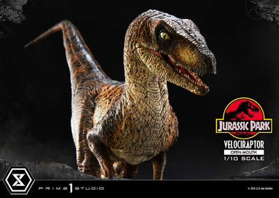 Jurassic Park Prime Collectibles Statue 1/10 Velociraptor Open Mouth 19cm - Scale Statue - Prime 1 Studio - Hobby Figures UK