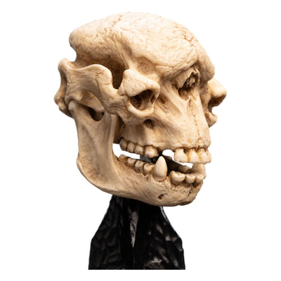 Lord of the Rings Mini Statue Skull of a Cave Troll 21cm - Scale Statue - Weta Workshop - Hobby Figures UK