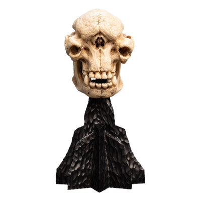 Lord of the Rings Mini Statue Skull of a Cave Troll 21cm - Scale Statue - Weta Workshop - Hobby Figures UK