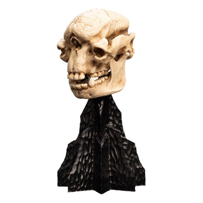 Lord of the Rings Mini Statue Skull of a Cave Troll 21cm - Scale Statue - Weta Workshop - Hobby Figures UK