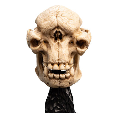 Lord of the Rings Mini Statue Skull of a Cave Troll 21cm - Scale Statue - Weta Workshop - Hobby Figures UK