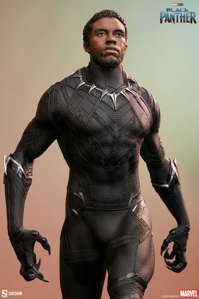 Marvel Premium Format Statue 1/4 Black Panther 67cm - Scale Statue - Sideshow Collectibles - Hobby Figures UK