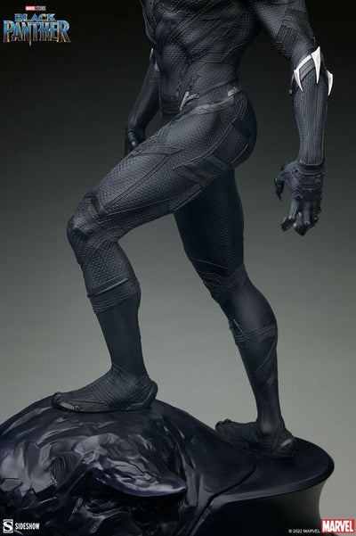 Marvel Premium Format Statue 1/4 Black Panther 67cm - Scale Statue - Sideshow Collectibles - Hobby Figures UK