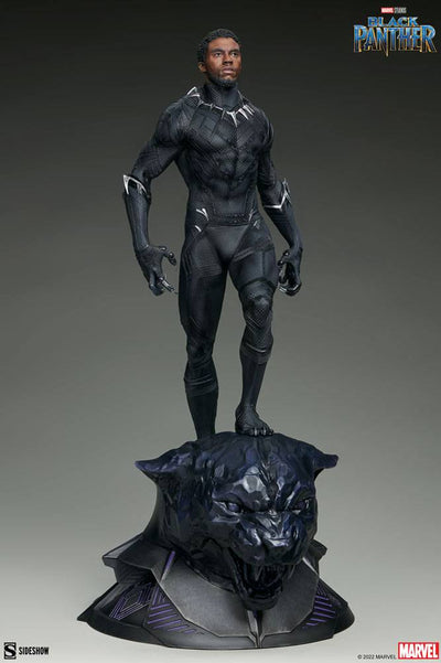 Marvel Premium Format Statue 1/4 Black Panther 67cm - Scale Statue - Sideshow Collectibles - Hobby Figures UK
