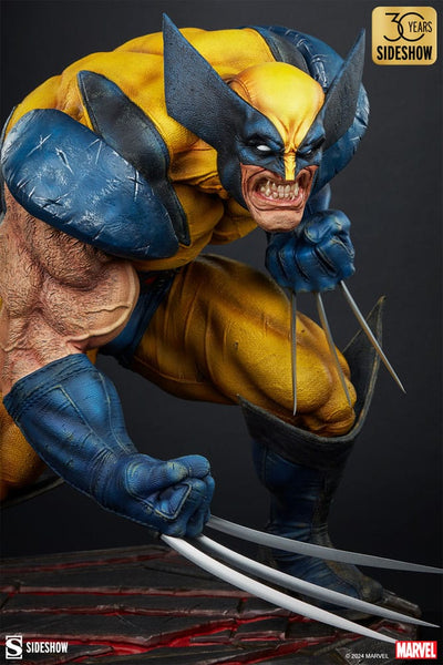 Marvel Statue Wolverine: Berserker Rage 48cm - Scale Statue - Sideshow Collectibles - Hobby Figures UK