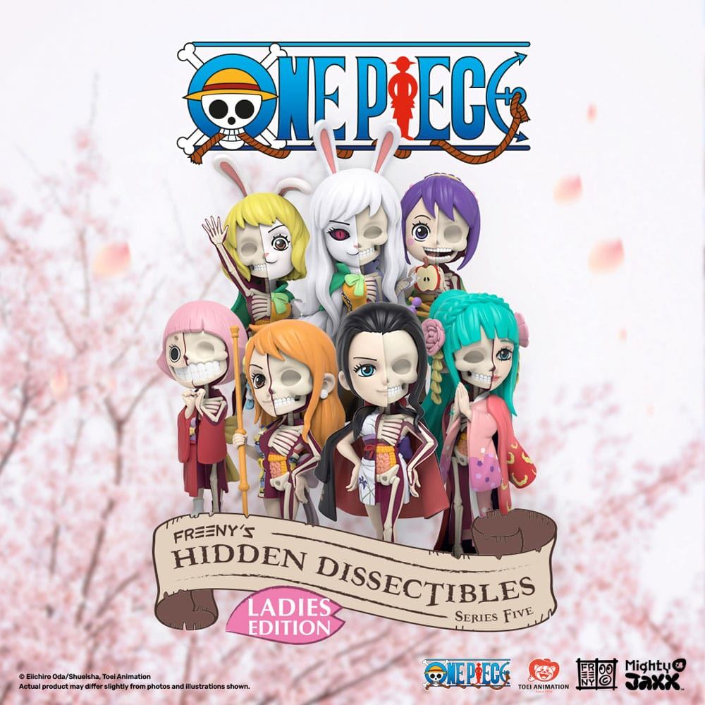 One Piece Blind Box Hidden Dissectibles Series 5 (Ladies ed.) Display (6) - Scale Statue - Mighty Jaxx - Hobby Figures UK