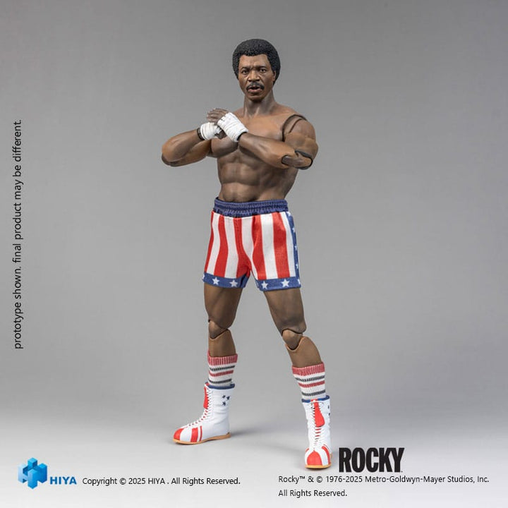 Rocky-Exquisite-Super-Series-