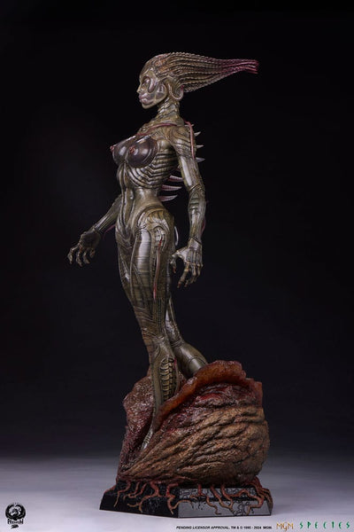 Species Statue 1/3 Sil 66cm - Scale Statue - Premium Collectibles Studio - Hobby Figures UK