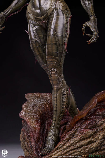 Species Statue 1/3 Sil 66cm - Scale Statue - Premium Collectibles Studio - Hobby Figures UK