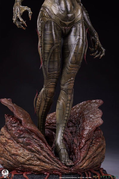 Species Statue 1/3 Sil 66cm - Scale Statue - Premium Collectibles Studio - Hobby Figures UK