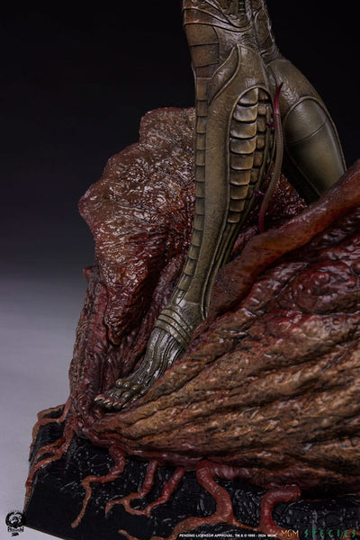 Species Statue 1/3 Sil 66cm - Scale Statue - Premium Collectibles Studio - Hobby Figures UK