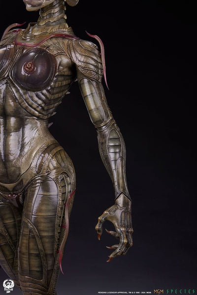 Species Statue 1/3 Sil 66cm - Scale Statue - Premium Collectibles Studio - Hobby Figures UK