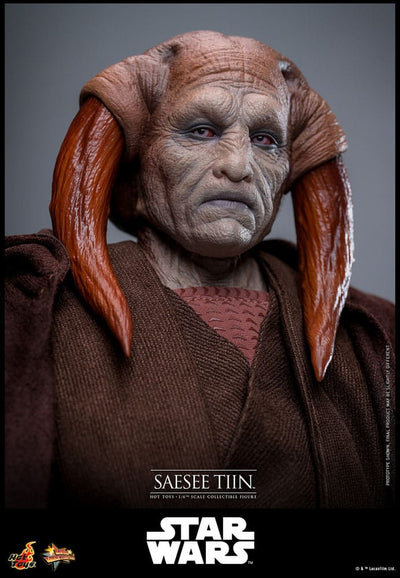 Star Wars: Episode III - Revenge of the Sith Movie Masterpiece Action Figure 1/6 Saesee Tiin 31cm - Action Figures - Hot Toys - Hobby Figures UK