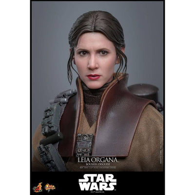 Star Wars Episode VI Movie Masterpiece Action Figure 1/6 Leia Organa (Boushh Disguise) 27cm - Action Figures - Hot Toys - Hobby Figures UK