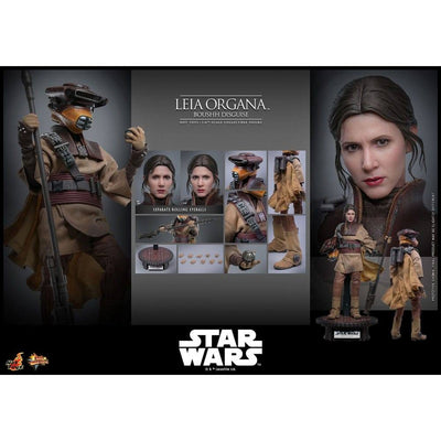 Star Wars Episode VI Movie Masterpiece Action Figure 1/6 Leia Organa (Boushh Disguise) 27cm - Action Figures - Hot Toys - Hobby Figures UK
