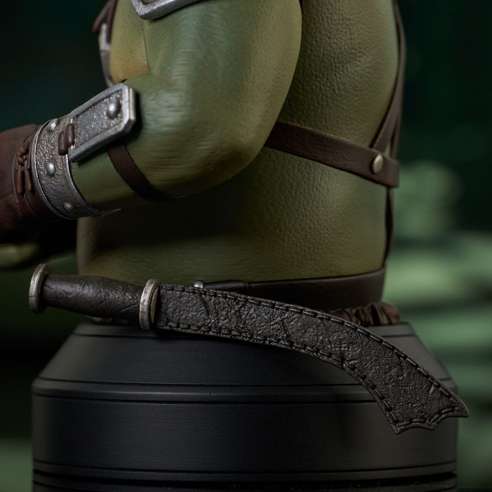 Star Wars: The Book of Boba Fett Bust 1/6 Gamorrean Guard St. Patrick's Day Exclusive 15cm - Scale Statue - Gentle Giant - Hobby Figures UK