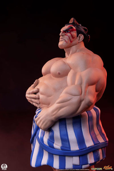 Street Fighter Street Jam Statuen 1/10 Karin & E. Honda - Scale Statue - Premium Collectibles Studio - Hobby Figures UK