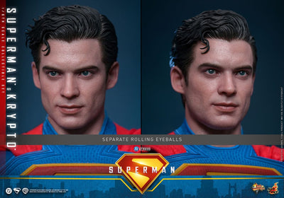 Superman (2025) Movie Masterpiece Action Figure 1/6 Superman & Krypto 33cm - Action Figures - Hot Toys - Hobby Figures UK