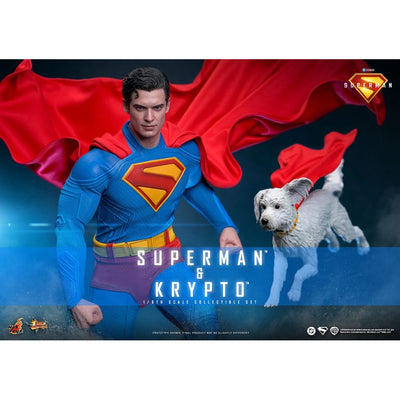 Superman (2025) Movie Masterpiece Action Figure 1/6 Superman & Krypto 33cm - Action Figures - Hot Toys - Hobby Figures UK
