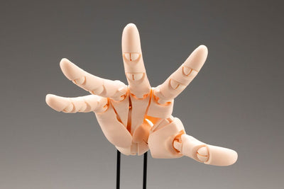 Takahiro Kagami PVC Artist Support Item Hand 1/1 Model/R Pale Orange 21cm - Scale Statue - Kotobukiya - Hobby Figures UK