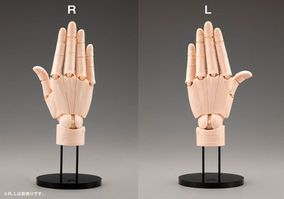 Takahiro Kagami PVC Artist Support Item Hand 1/1 Model/R Pale Orange 21cm - Scale Statue - Kotobukiya - Hobby Figures UK