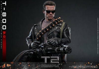Terminator 2 Movie Masterpiece Action Figure 1/6 T-800 2.0 32cm
