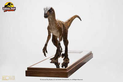 Jurassic Park Statue 1/4 Velociraptor Clever Girl 49cm (With Acrylic Case) - Scale Statue - Toynami - Hobby Figures UK
