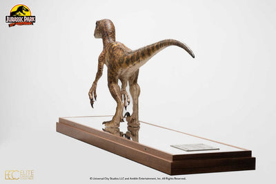 Jurassic Park Statue 1/4 Velociraptor Clever Girl 49cm (With Acrylic Case) - Scale Statue - Toynami - Hobby Figures UK