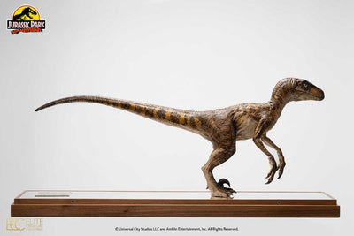 Jurassic Park Statue 1/4 Velociraptor Clever Girl 49cm (With Acrylic Case) - Scale Statue - Toynami - Hobby Figures UK