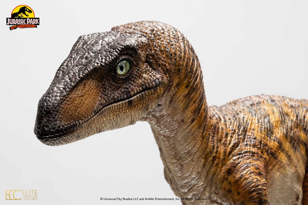Jurassic Park Statue 1/4 Velociraptor Clever Girl 49cm (With Acrylic Case) - Scale Statue - Toynami - Hobby Figures UK