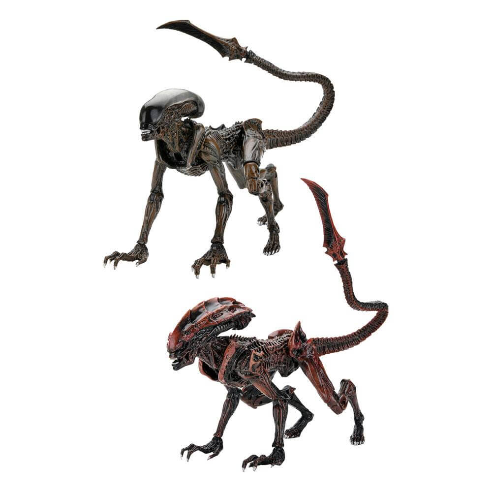 Aliens: Fireteam Elite Action Figure 23 cm Series 1 Case 8-Pack - Action Figures - NECA - Hobby Figures UK