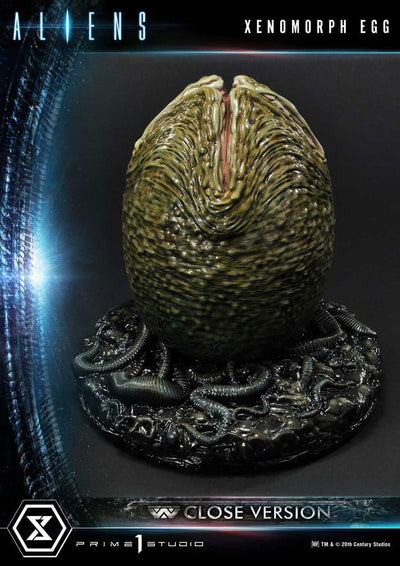 Aliens Premium Masterline Series Statue Xenomorph Egg Closed Version (Alien Comics) 28cm - Scale Statue - Prime 1 Studio - Hobby Figures UK