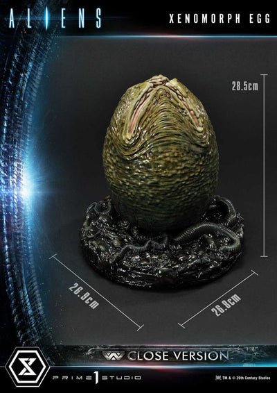 Aliens Premium Masterline Series Statue Xenomorph Egg Closed Version (Alien Comics) 28cm - Scale Statue - Prime 1 Studio - Hobby Figures UK