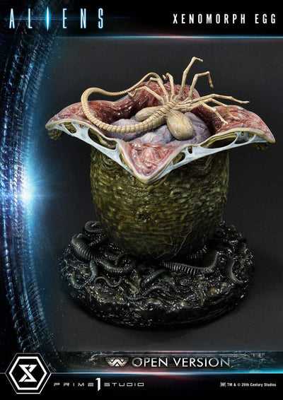Aliens Premium Masterline Series Statue Xenomorph Egg Open Version (Alien Comics) 28cm - Scale Statue - Prime 1 Studio - Hobby Figures UK