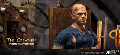 The Horror of Frankenstein My Favourite Movie Action Figure 1/6 The Creature 30cm - Action Figures - Star Ace - Hobby Figures UK