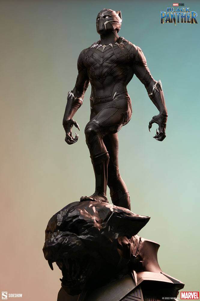 Marvel Premium Format Statue 1/4 Black Panther 67cm - Scale Statue - Sideshow Collectibles - Hobby Figures UK