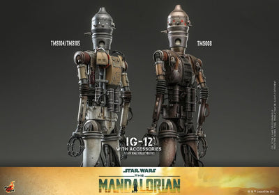 Star Wars: The Mandalorian Action Figure 1/6 IG-12 with accessories 36cm - Action Figures - Hot Toys - Hobby Figures UK