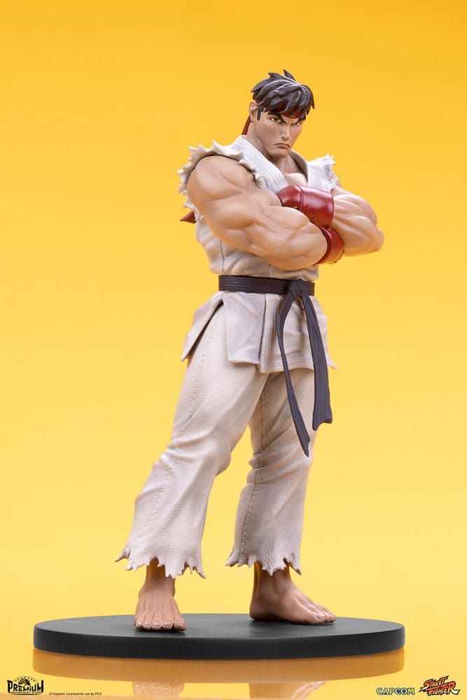 Street Fighter PVC Statues 1/10 Ryu & Dan 18cm - Scale Statue - PCS - Hobby Figures UK