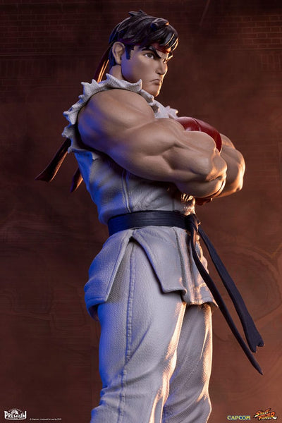 Street Fighter PVC Statues 1/10 Ryu & Dan 18cm - Scale Statue - PCS - Hobby Figures UK