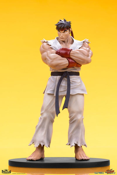 Street Fighter PVC Statues 1/10 Ryu & Dan 18cm - Scale Statue - PCS - Hobby Figures UK