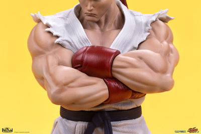 Street Fighter PVC Statues 1/10 Ryu & Dan 18cm - Scale Statue - PCS - Hobby Figures UK