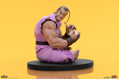 Street Fighter PVC Statues 1/10 Ryu & Dan 18cm - Scale Statue - PCS - Hobby Figures UK